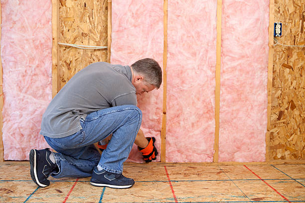 Best Energy-efficient Insulation  in East Highland Park, VA