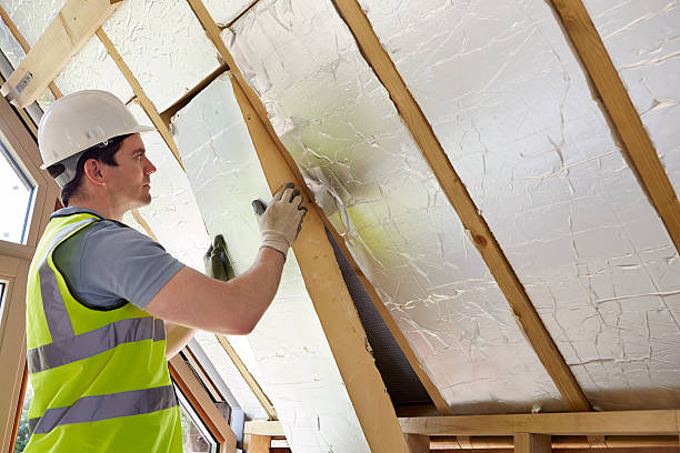 Best Insulation Removal  in East Highland Park, VA