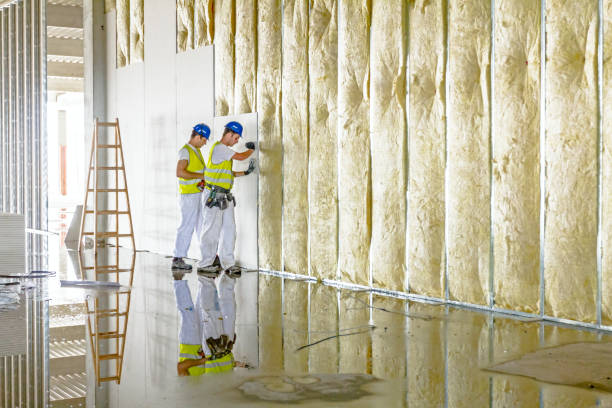 Best Insulation Inspection Services  in East Highland Park, VA
